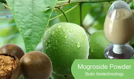 How Manufacturers Use Mogroside Powder in Functional Foods and Beverages?